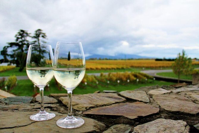 Private Excursion: Scenic and Seascape Delights from Picton - What Travelers Say