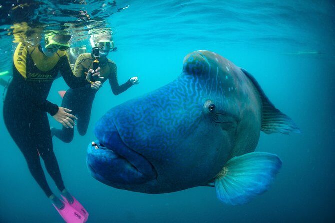Private full day catered & crewed yacht charter- Airlie Beach - Is It Worth the Price?