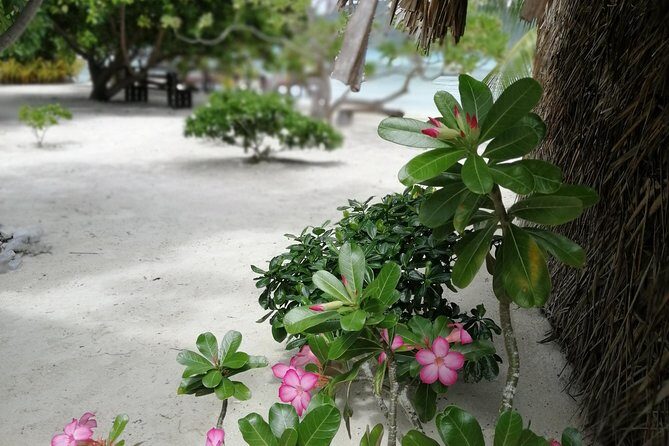 PRIVATE FULL DAY LAGOON TOUR - Bora Bora Cultural Lagoon Tour - Transportation & Group Size