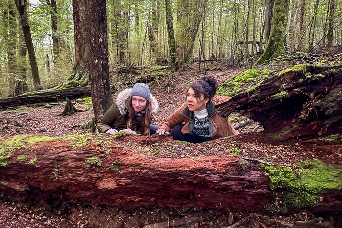 Private Full Day Lord of the Rings Mavora Lakes Adventure! - The Experience: What You’ll Love
