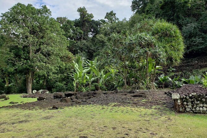 Private Full-Day Tahiti Grotto, Gardens & Panoramas - What’s Included and What’s Not?