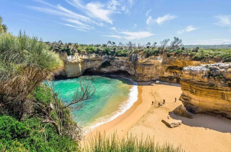 Private Great Ocean Road & 12 Apostles Experience - Transportation & Group Size