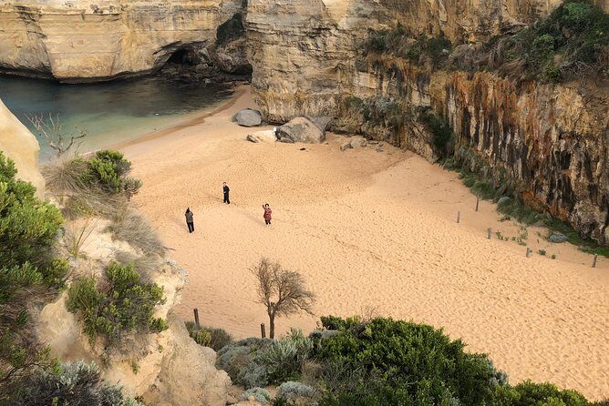 Private Great Ocean Road Local Experience - Who Should Consider This Tour?