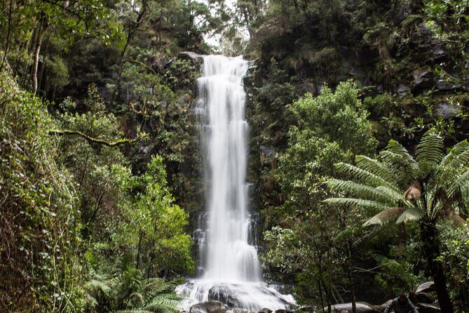 Private Great Ocean Road - The Ultimate Aussie Adventure - Considerations and Practicalities