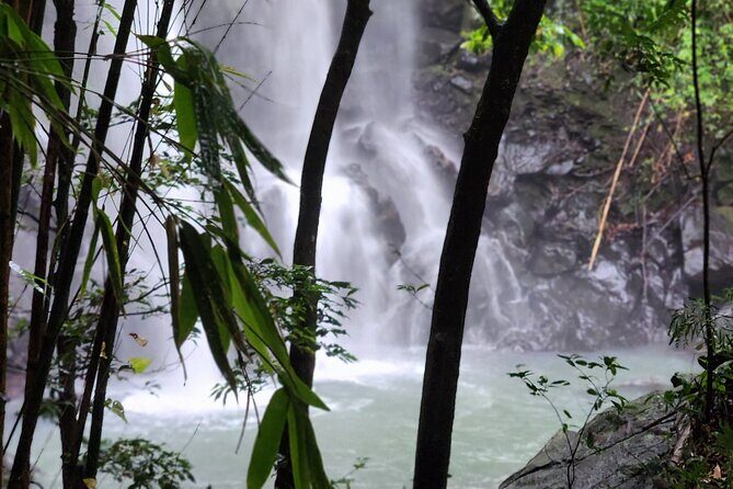 Private Guided Adventure in Nadi with Pick-up - Who Should Consider This Tour?
