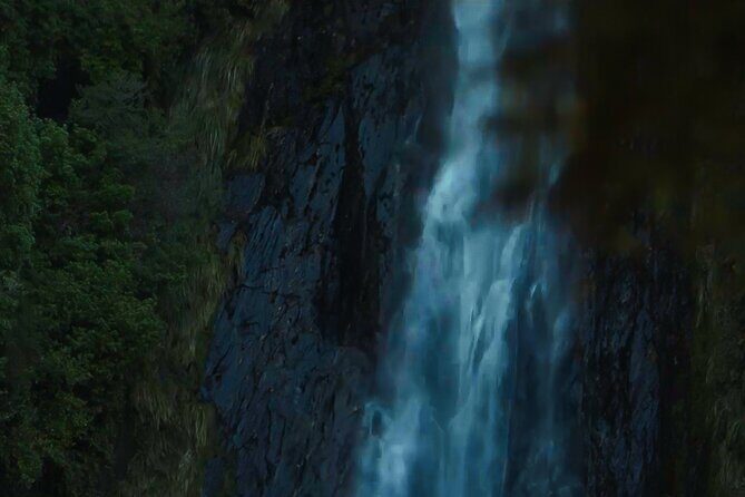Private Guided Milford Sound Tour ex Queenstown - Transportation & Comfort