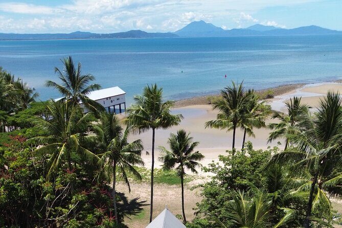 Private Guided Tour in Port Douglas and Surrounds - Pricing and Value