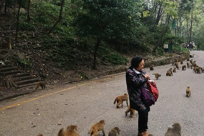 Private Guiyang Day Tour including Qingyan Ancient Town and Qianling Park - Starting the Day at Qianling Park