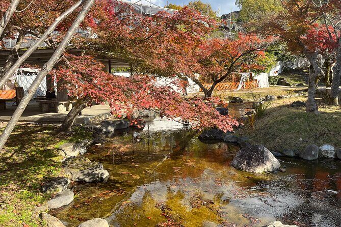 Private Half-Day Gion Guided Tour in Kyoto - Who’s This Tour Best For?