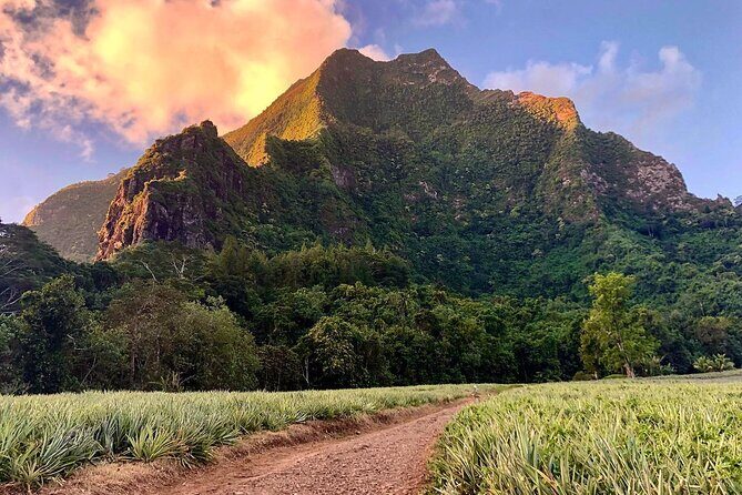 Private Half-Day Hike in the Opunohu Valley in Moorea - Final Thoughts