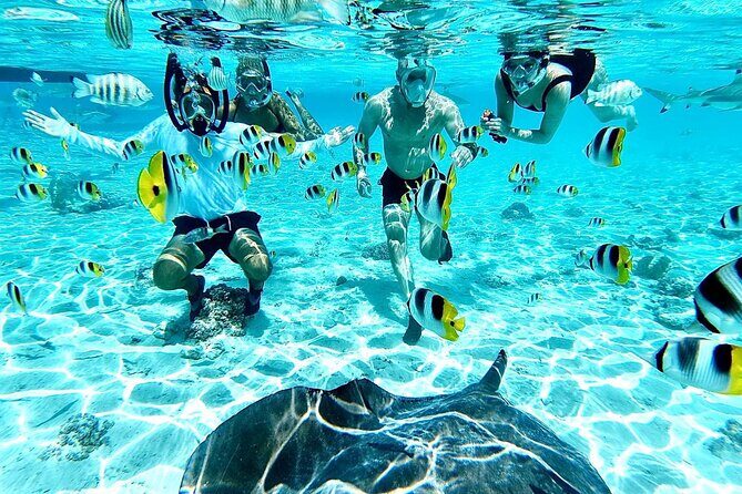 PRIVATE HALF DAY LAGOON TOUR - Bora Bora Cultural Lagoon Tour - The Sum Up