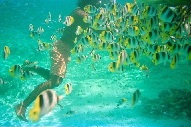Private Half Day Sailing Excursion on the Lagoon of Tahiti - What to Expect