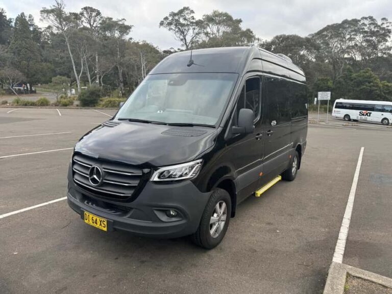 Private Half Day Sydney City Tour - The Experience: What to Expect