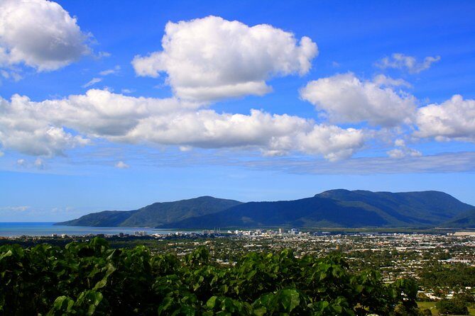 Private Half Day Tour: World Heritage Rainforest & Waterfall - The Sum Up: Who Is This Tour Best For?