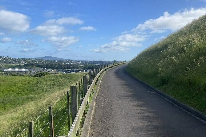 Private Half-Day Volcano Tour from Auckland - What It Means for You