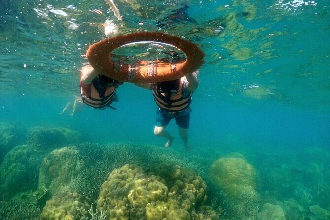 Private Island Hopping from Port Barton with Turtle Watching - Final Thoughts