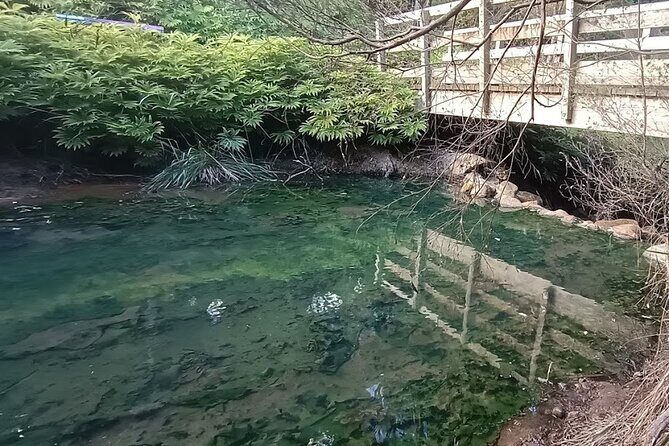 Private Kaitoke Hot Springs Soak and Walk Tour in Great Barrier - What Travelers Say