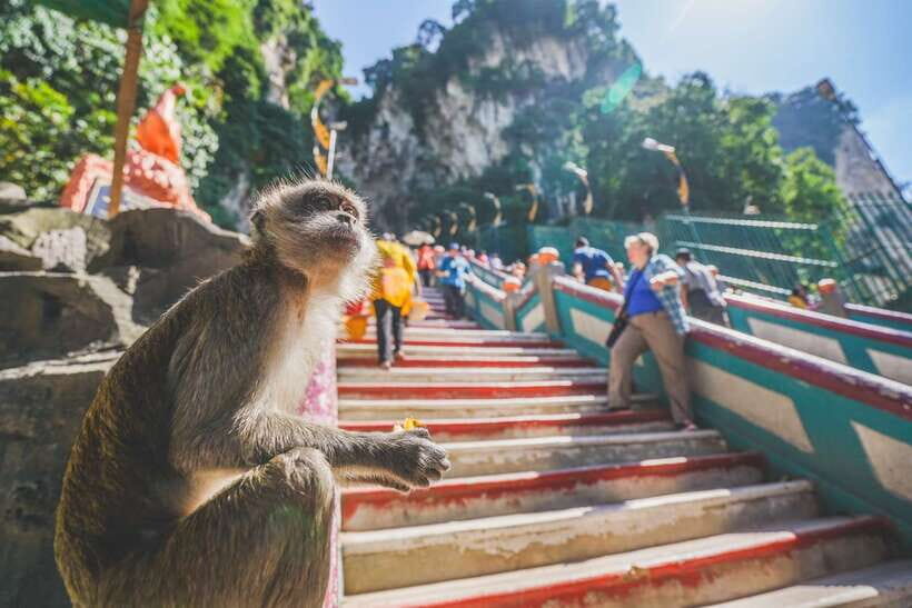 Private KL City Tour with Petronas Twin Towers & Batu Caves - The Real Value of This Tour