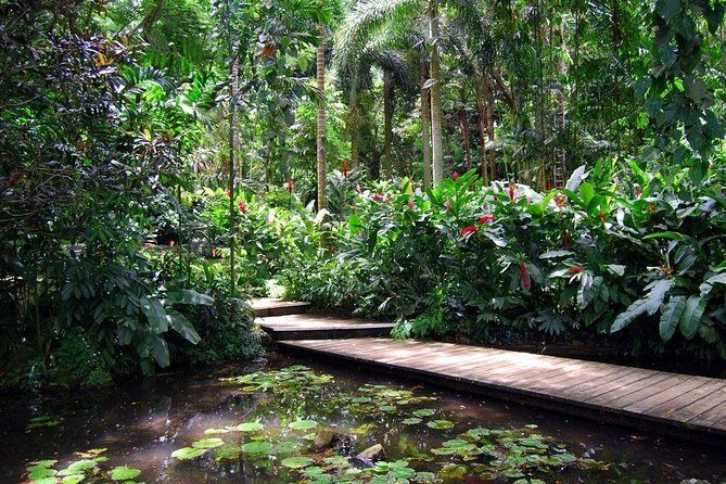 Private Lautoka Shore Excursion including Viseisei Village - Who Will Love This Tour?
