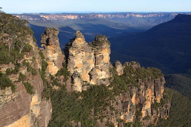Private Luxury Blue Mountain Tour with Wildlife and River Cruise - What Travelers Say: Highlights and Considerations
