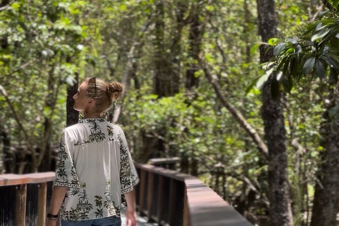 Private Luxury Cape Tribulation Adventure and Crocodile Cruise - What Makes This Tour Stand Out
