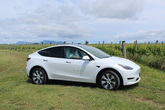 Private Martinborough Wine Tour in an Electric Vehicle - Tesla Model Y - The Experience with a Personal Touch
