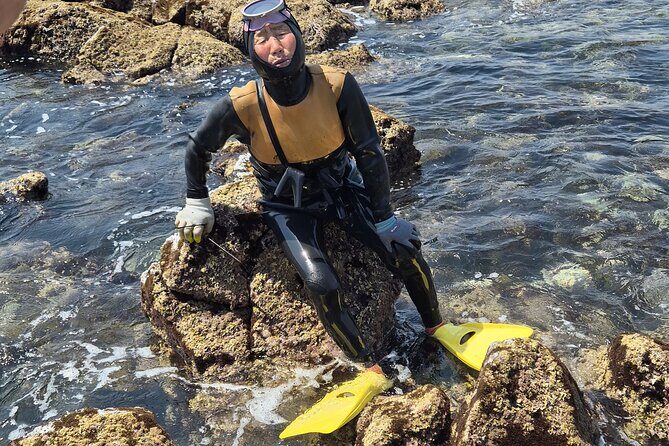 Private Meeting with a Haenyeo: Jeju Shore Excursion - Transportation and Logistics: What to Expect