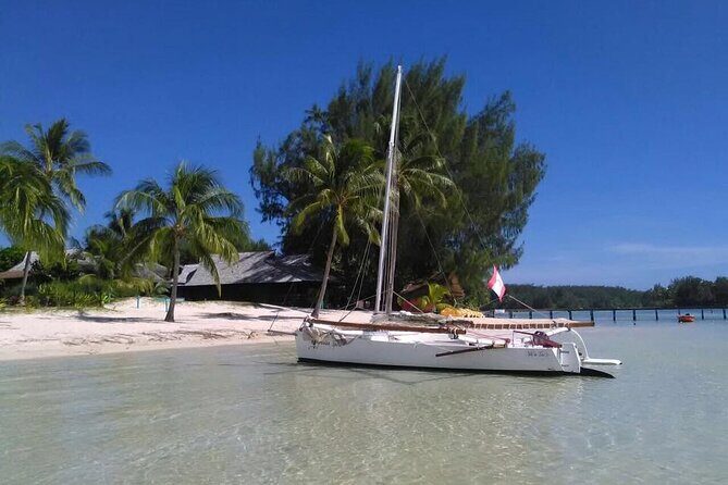 Private Moorea Discovery Half-day Sailing - What Travelers Say