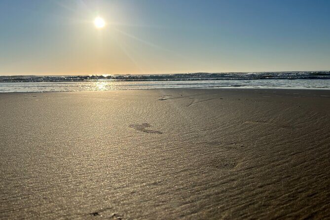 Private Morning Transfer From Noosa to Rainbow Beach - How the Itinerary Unfolds