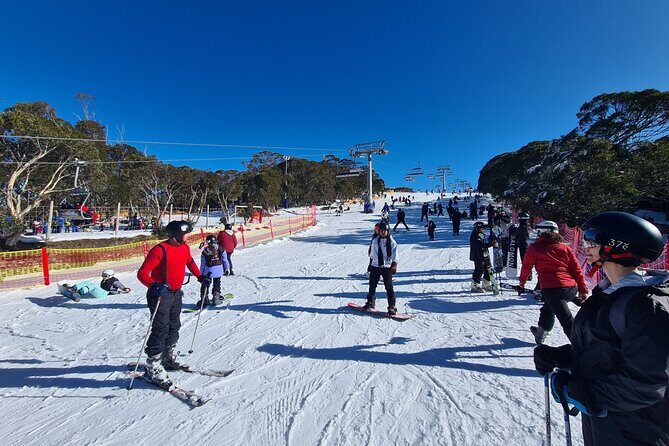 Private Mount Buller Snow and Ski Tour from Melbourne - Who Is This Tour Best For?