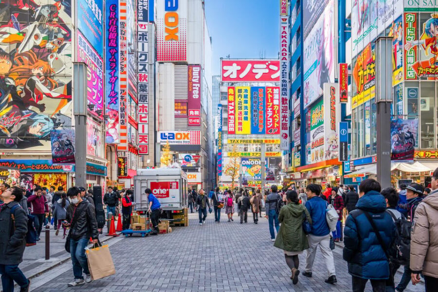 Private Must-see Sakura Journey in Tokyo City - An In-depth Look at the Private Sakura Tour in Tokyo
