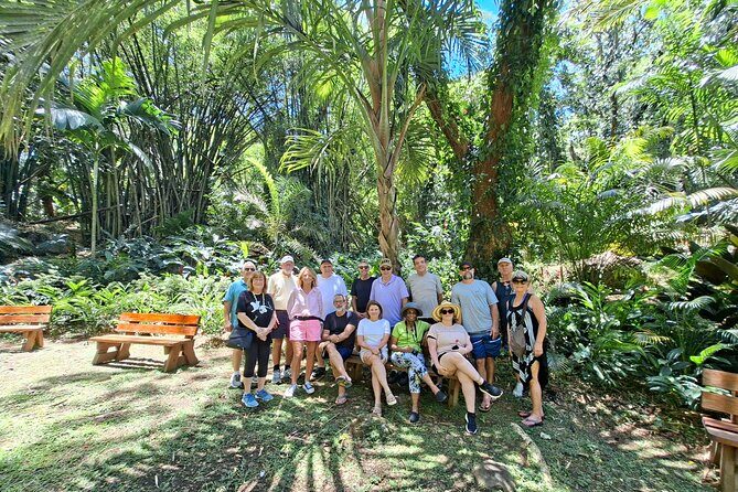 Private Nadi Temple Tour - What’s Included and What’s Not