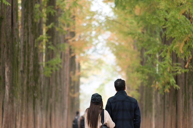 Private Nami Island Photo Shoot and Tour with a Photographer - Exploring What Makes This Tour Special