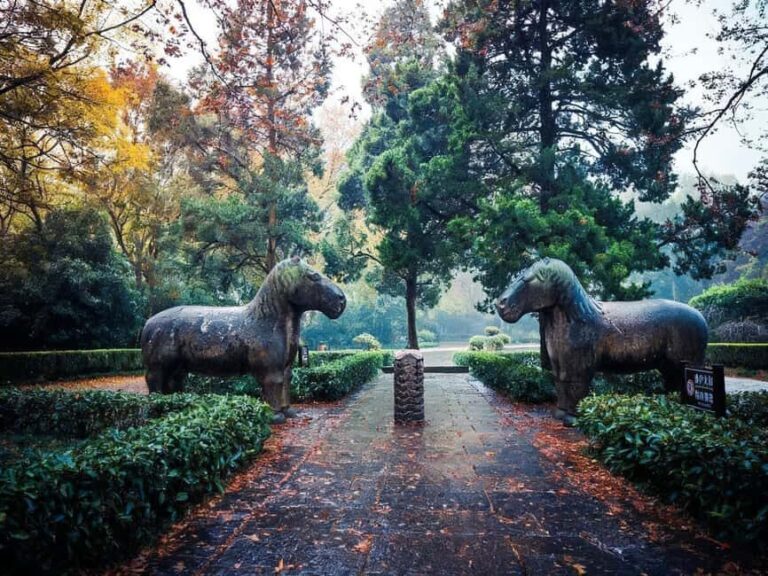 Private Nanjing Day Tour from Shanghai by Bullet Train - Practical Aspects and Value