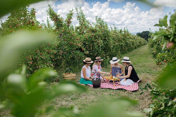 Private Picnic Lunch Experience in Orange with Wine - Practical Details and Logistical Insights