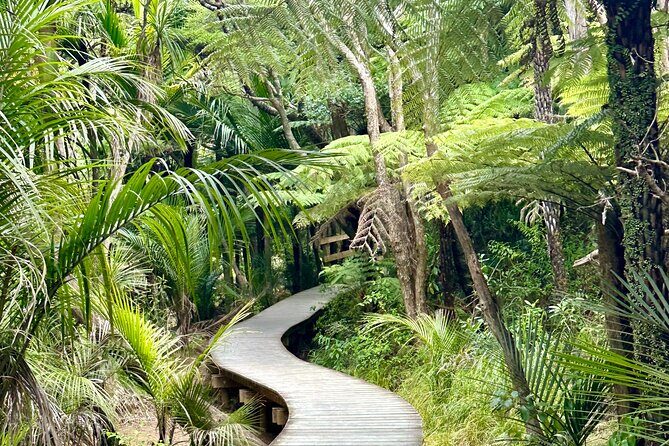 Private Piha Beach, Rainforest Adventure & Mt. Eden with Guide - Transportation and Comfort