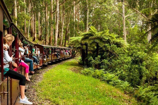 Private Puffing Billy Steam Train and Healesville Sanctuary Tours - Authentic Experiences and Traveler Insights