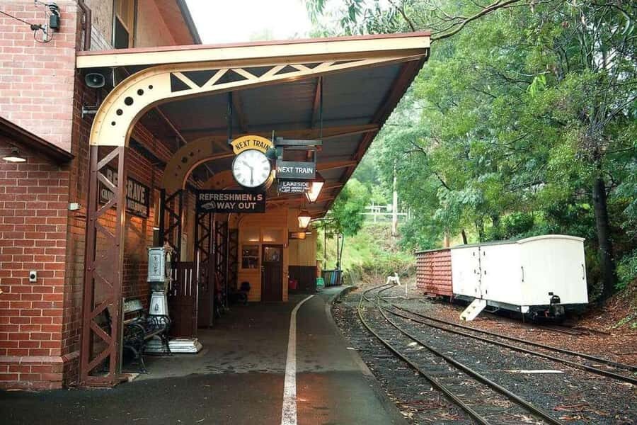Private Puffing Billy Train & Healesville Sanctuary Tours - Analyzing the Value