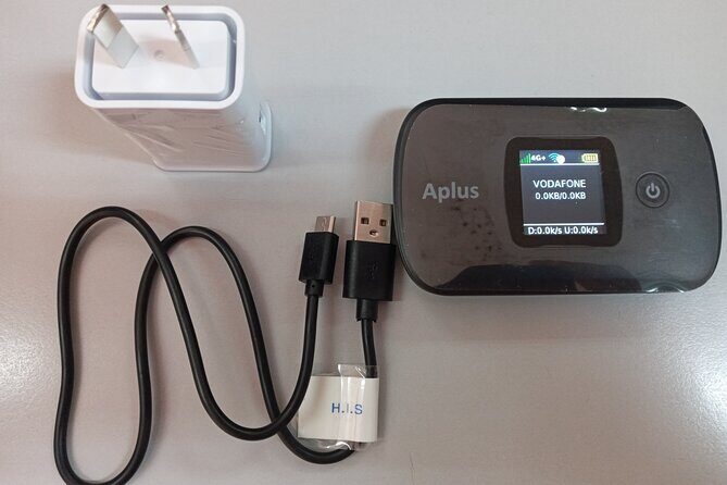 Private Round-trip Nadi Airport to Hotels+Unlimited Data Pocket Wi-Fi rental - What Travelers Say