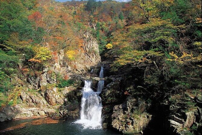 Private Sandankyo Valley Tour from Hiroshima with a Local Guide - Who Is This Tour Perfect For?