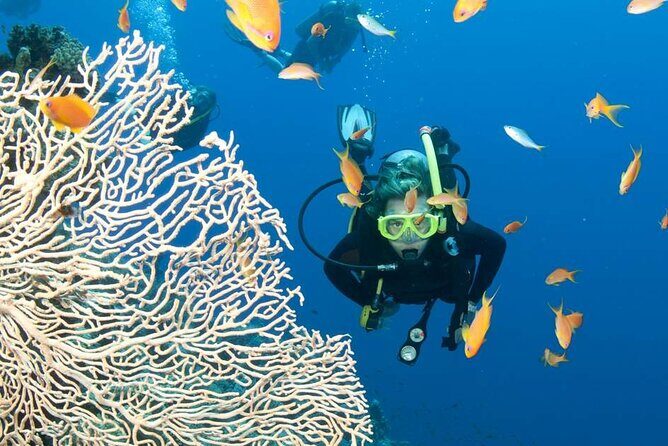 Private Scuba Diving Initiation with Licensed Guide - Authentic Experiences and Feedback