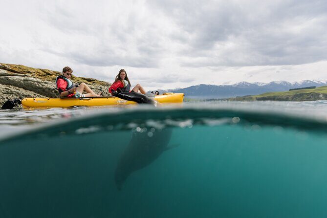 Private Seal Kayaking and Wildlife Tour in Kaikoura - Introduction to the Tour and Its Setting