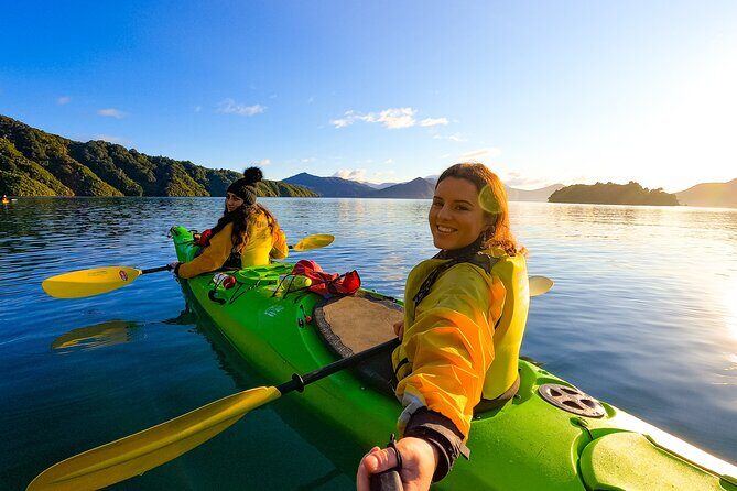 Private Shore Excursion: Explore Marlborough from Picton - Who should consider this tour?