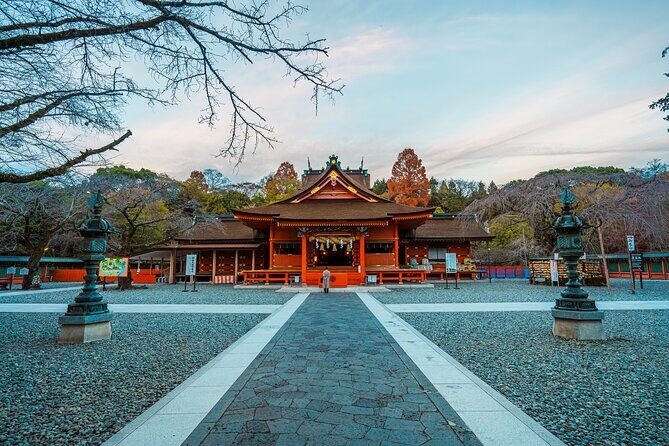 Private Shore Tour: Mt. Fuji Highlights from Shimizu Port - Who Will Love This Tour?