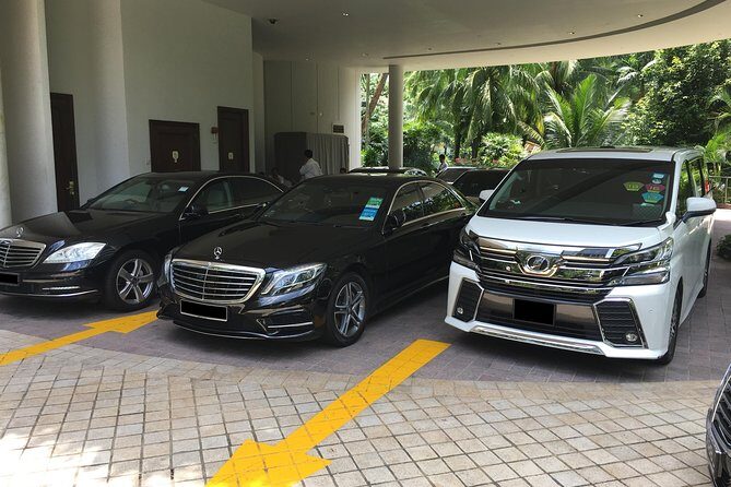 Private Singapore Departure Transfer: City to Airport or Cruise Terminal - An In-Depth Look at the Transfer Experience