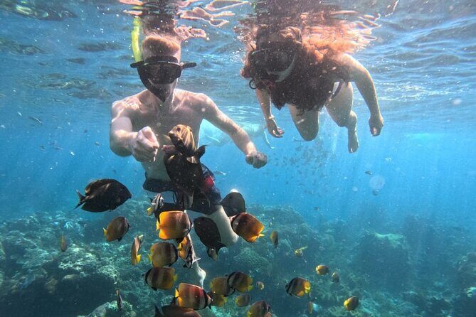 Private Snorkeling from Nusa Penida - What’s Included and What’s Not
