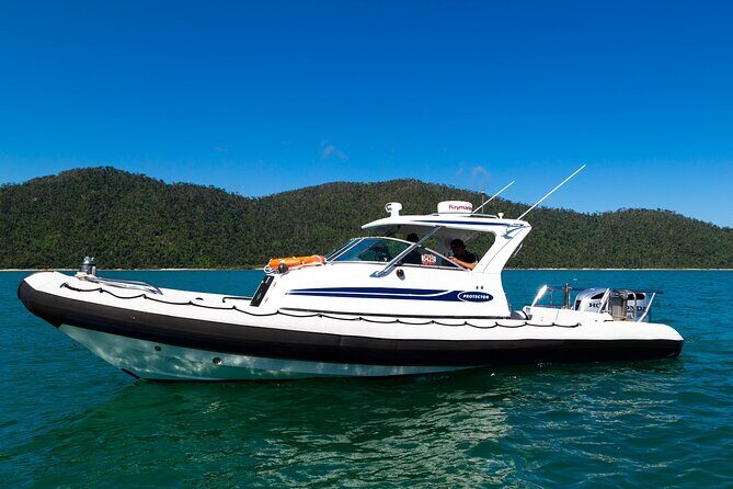 Private Standard Charter Experience in Whitsundays - What Travelers Say: Authentic Feedback