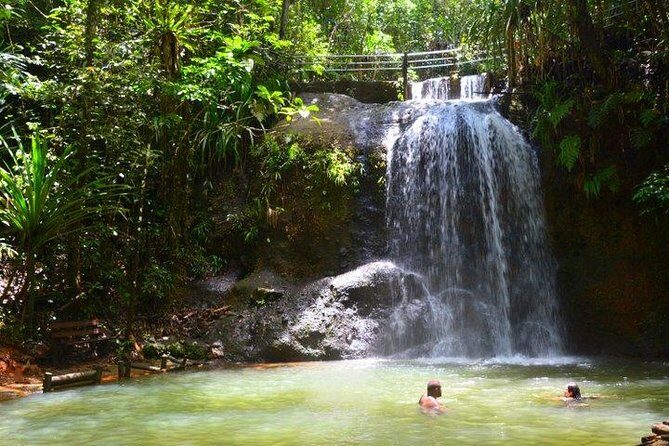 Private Suva Nature and Waterfall Tour - Swimming and Relaxing in Natural Pools
