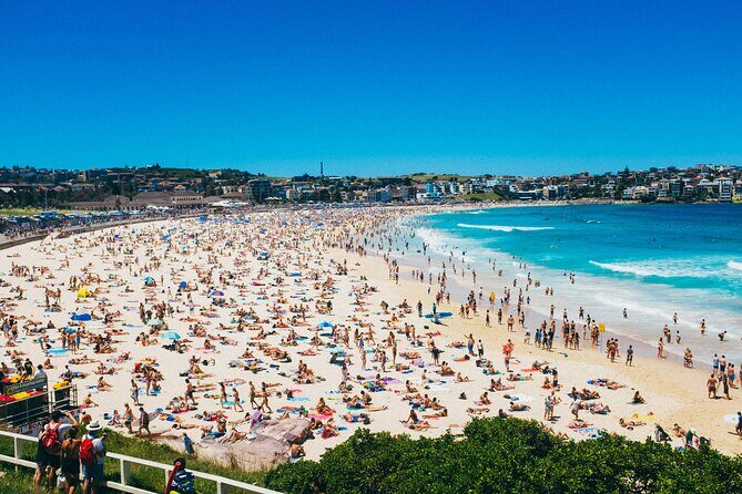 PRIVATE Sydney City Bondi Beach Opera House & Botanic Garden Tour - What Travelers Say
