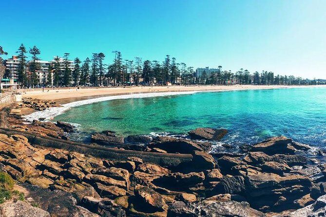 Private Sydney Tour Including Sydney Opera House, Bondi and Manly - The Value of a Private Tour